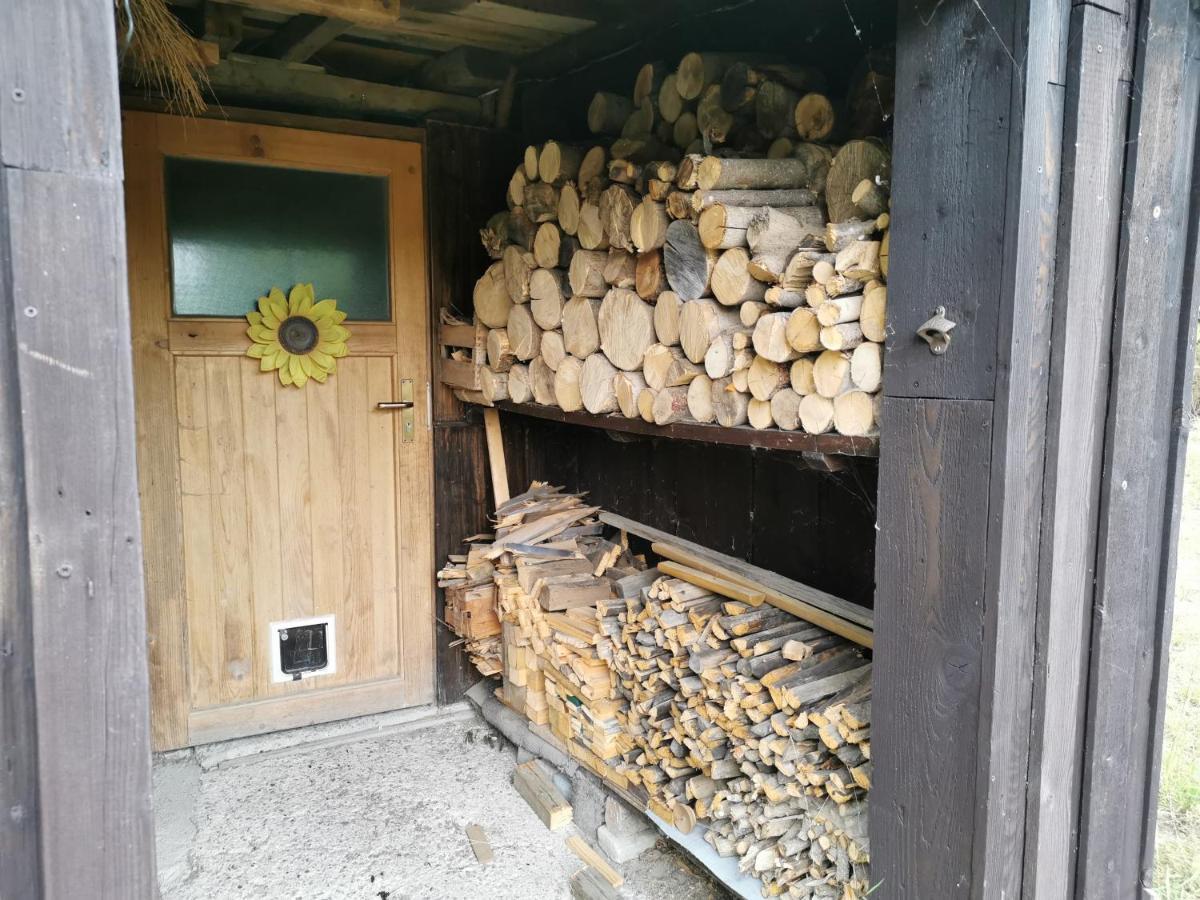 Ferienhaus Natur Pur Appartamento Thale Esterno foto