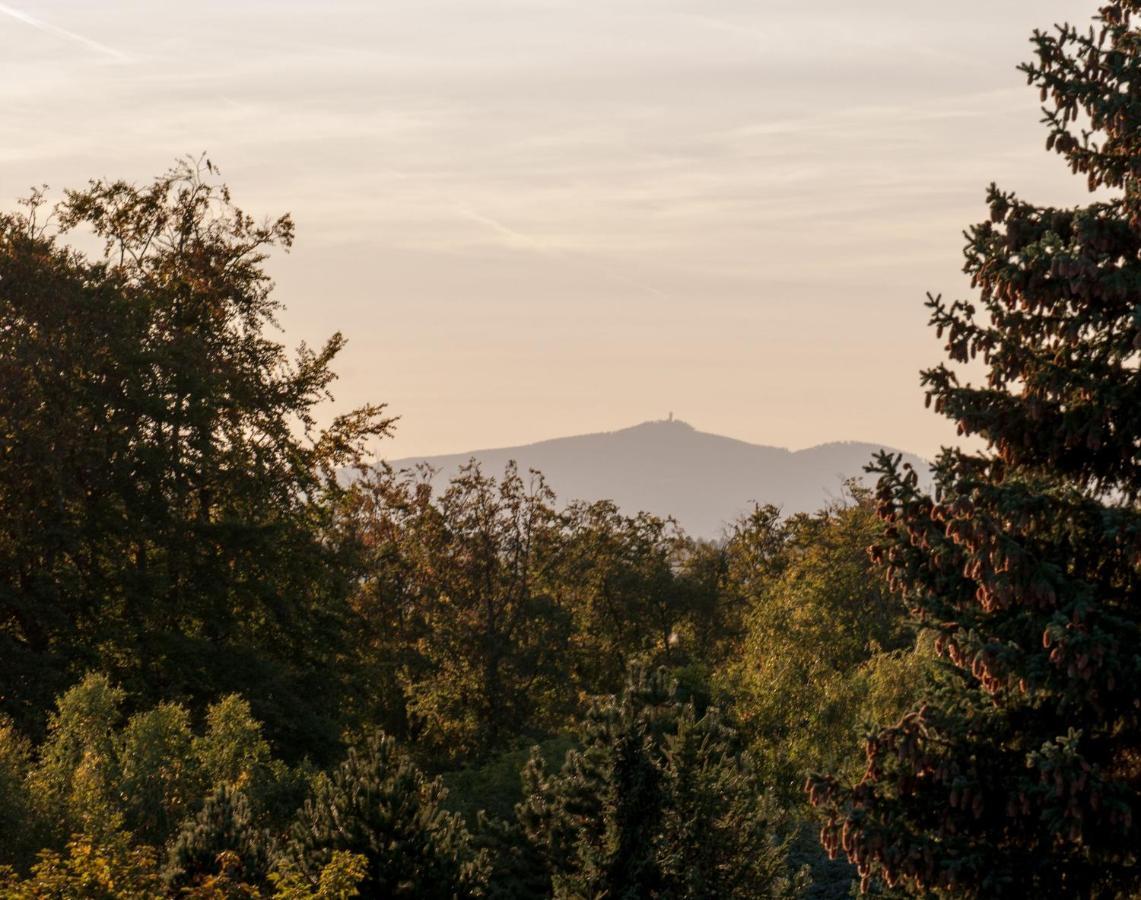 Ferienhaus Natur Pur Appartamento Thale Esterno foto